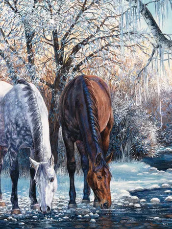 Produit La Beauté de l'Hiver Image