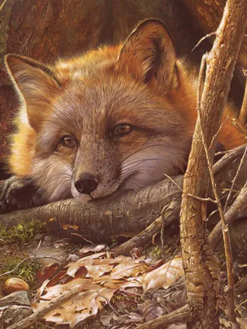 Produit Au Soleil Image