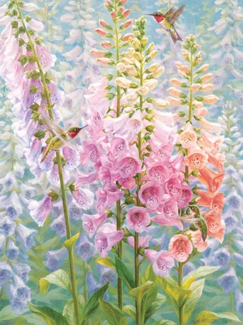 Produit Pièces XXL - Arc-en-Ciel d'Été - Random Cut Image