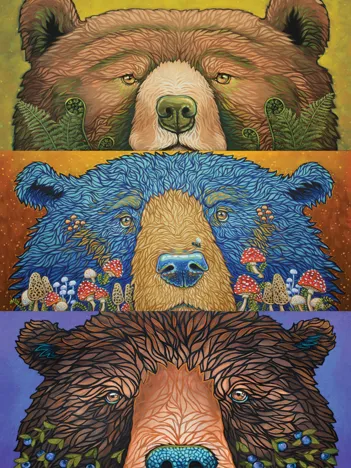 Produit Pièces XXL - Yeux d'Ours : Récolte - Random Cut Image