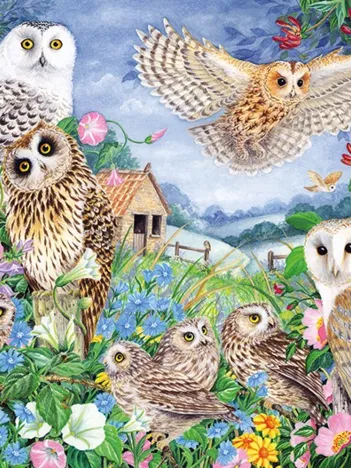 Produit Chouettes dans Le Bois Image