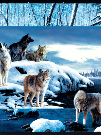Produit Kevin Daniel - Ice Wolves Image