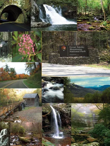 Produit John W. Mayes - The Great Smoky Mountains Image