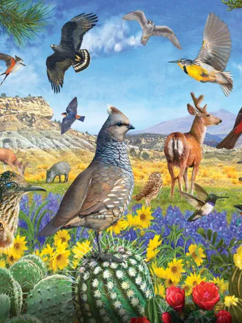 Produit R. Christopher Vest - Texas Birds Image