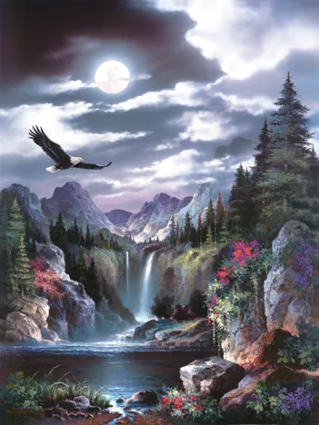 Produit James Lee - Moonlit Eagle Image