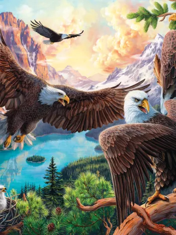 Produit Eagle Dance Image