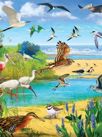 Produit R. Christopher Vest - Florida Birds Image