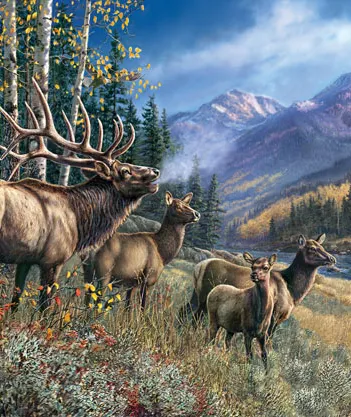 Produit James Meger - Elk Anthem Image