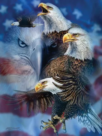 Produit Steven Michael Gardner - Patriotic Eagles Image