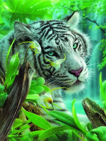 Produit White Tiger of Eden Image