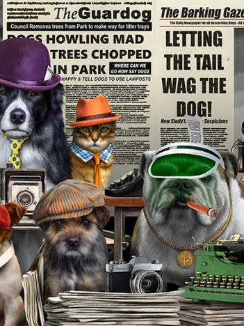 Produit News Hounds Image