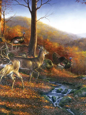 Produit Shawnee Hills Image