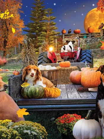 Produit Récoltes Image