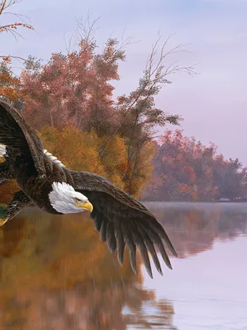 Produit Christopher Walden - Lake Patrol Image