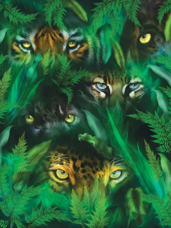 Produit Jungle Eyes Image