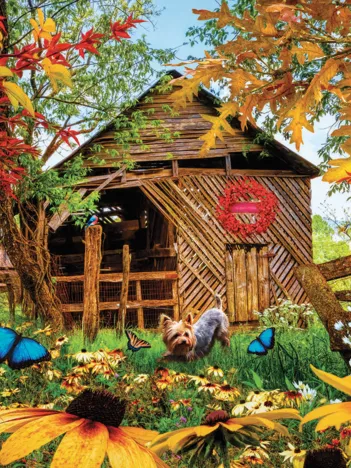 Produit Autumn Red and Gold Image