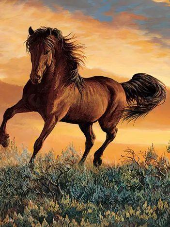 Produit Persis Clayton Weirs - Mustang Sky Image