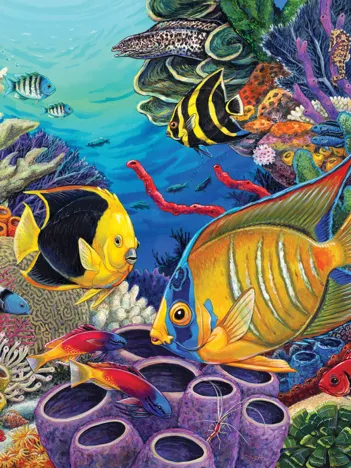 Produit Coral Reef Image