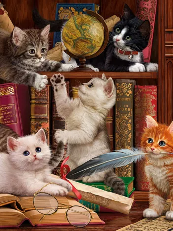 Produit Chatons dans la Librairie Image