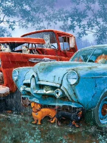 Produit Chiens et Chats Sous la Pluie Image