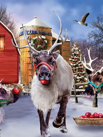 Produit La Ferme des Rennes Image