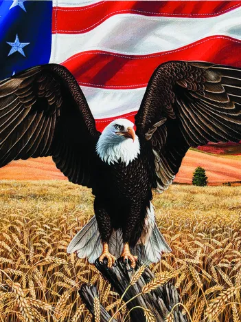 Produit Amber Waves of Grain Image