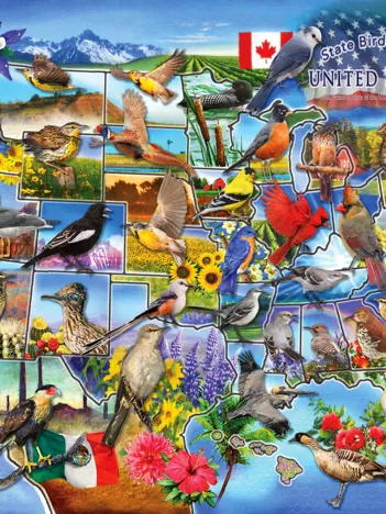 Produit Oiseaux d'État des États-Unis Image