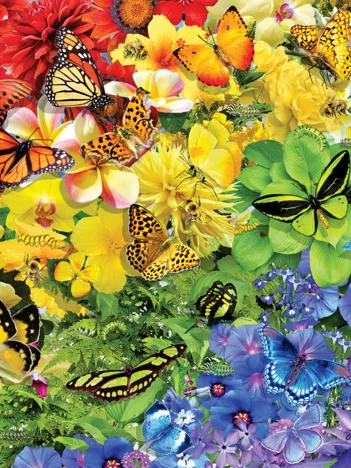 Produit Arc-en-Ciel de Papillons Image