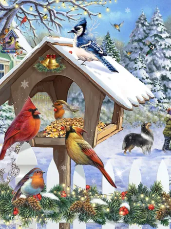 Produit Oiseaux de Noël Image