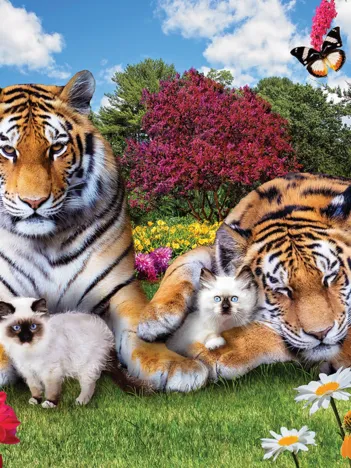 Produit Parents Fiers Image