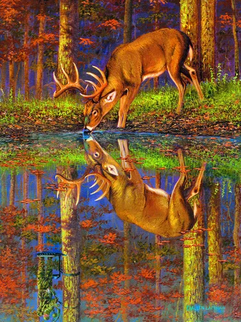 Produit Qu'est-ce Qui se Cache en Dessous ? Image