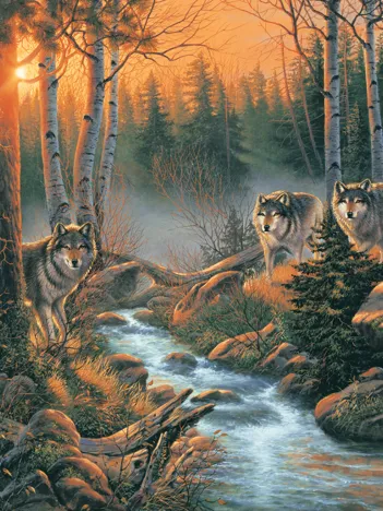 Produit Waldschatten Image