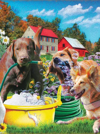 Produit Sports d'eau Image