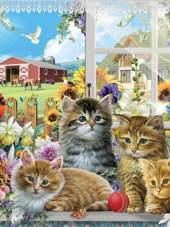 Produit Chatons à la Fenêtre Image