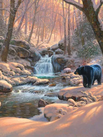 Produit Saisons De La Vie Image