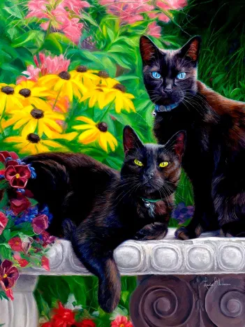 Produit Beautés Noires Image