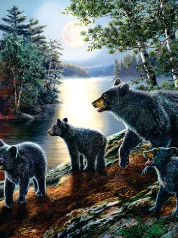 Produit pièces XXL - James Meger - Bear Moon Image