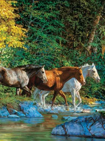 Produit Chris Cummings - Bear Creek Crossing Image