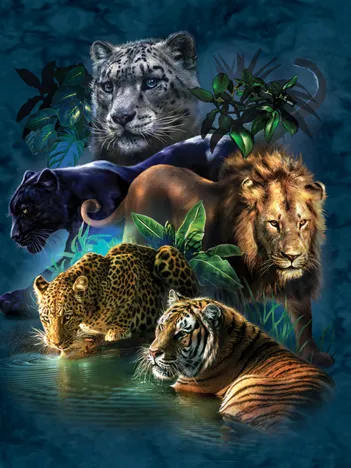 Produit Tami Alba - Big Cat Prowess Image