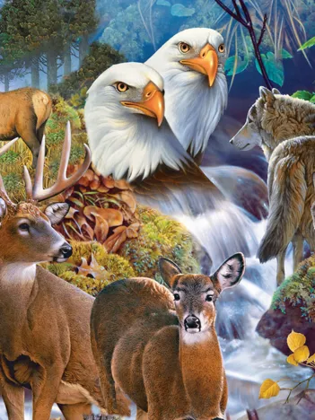 Produit Jerry Gadamus - Forest Neighbors Image