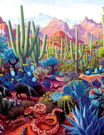 Produit Stephen Morath - Cactusland Image