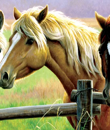 Produit Cynthie Fisher - Horse Fence Image