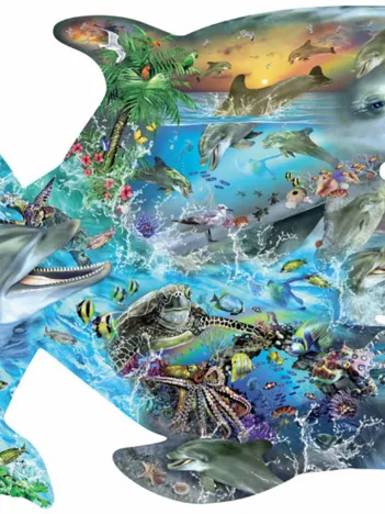 Produit Lori Schory - Song of the Dolphins Image