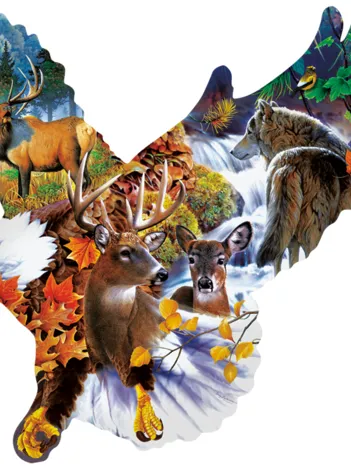 Produit Jerry Gadamus - Forest Eagle Image