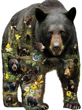 Produit Pièces XXL - Greg Giordano - Forest Bear Image