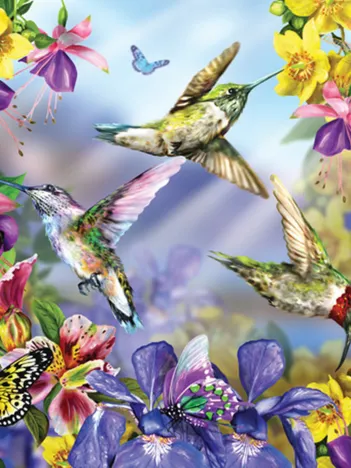 Produit Pièces XXL - Butterflies & Hummingbirds Image