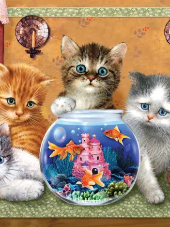 Produit Pièces XXL - Anyone Looking? Image