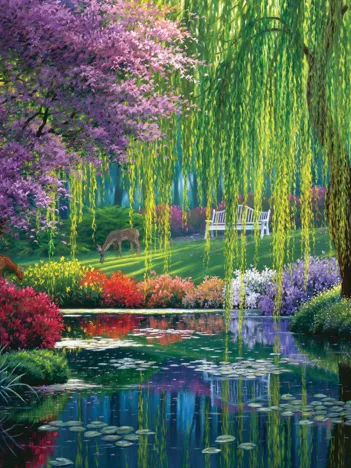 Produit Pièces XXL - Willow Pond Image