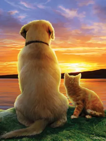 Produit Pièces XXL - As the Sun Sets Image