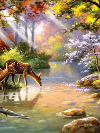 Produit Pièces XXL - Doe Re Me Creek Image